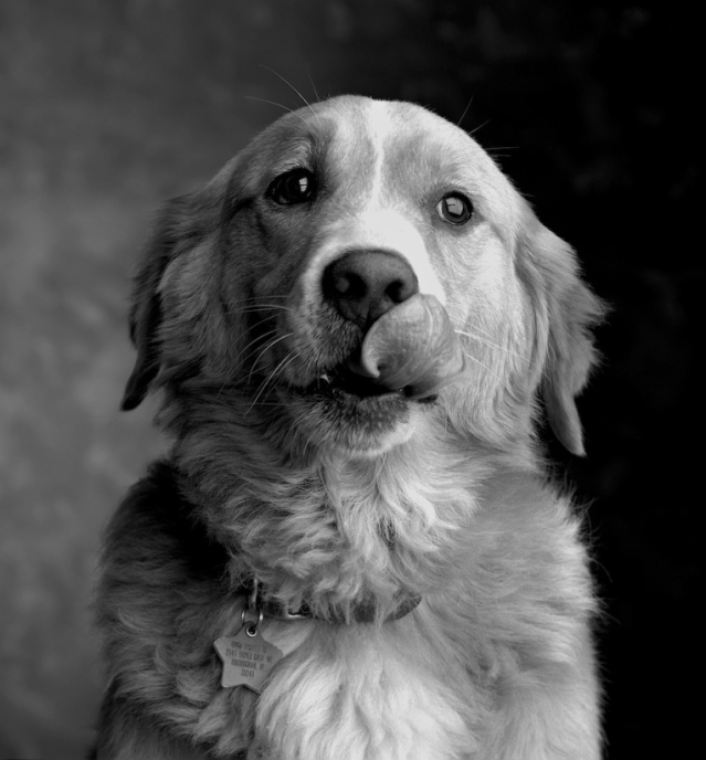 spencer